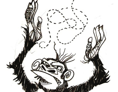 Monkey sketches