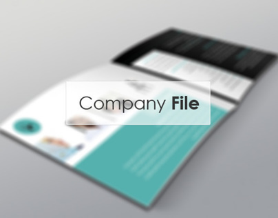 Company File Ds