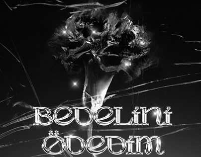 Music Cover by Melike Şahin