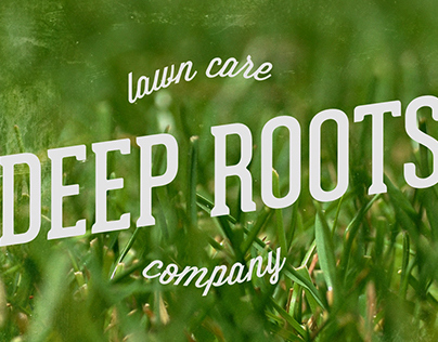 Deep Roots Lawn Care