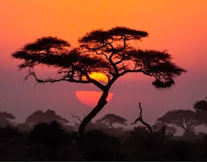 East Africa Images:  Tanzania and Kenya