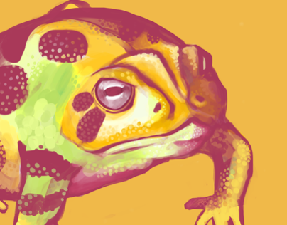 Colorful Toad Illustrations