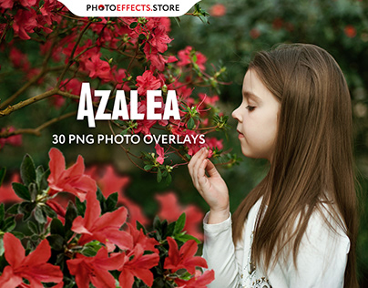 30 Azalea Photo Overlays