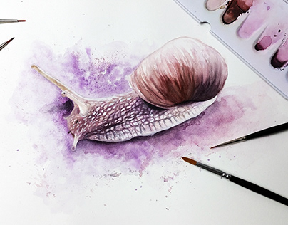 Purple Snail | Watercolor