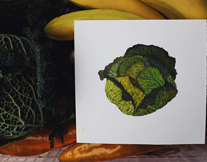 Cabbage or savoy cabbage? This is the dilemma