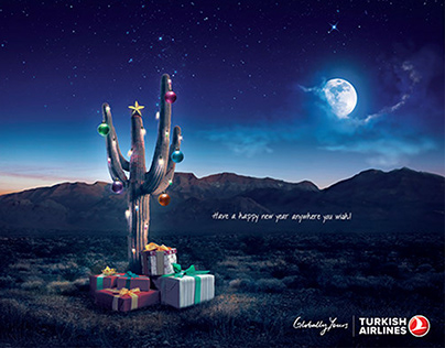 Turkish Airlines / New Year Print Campaign