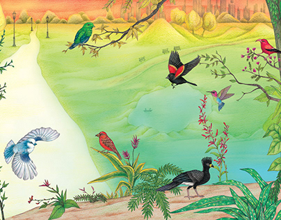 Birding Around the World - Editorial Illustration