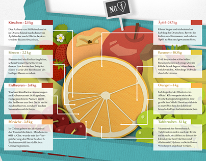 Fruitbox / Infographics