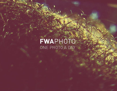 5 FWA Photos