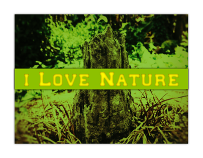 i Love Nature - Photography