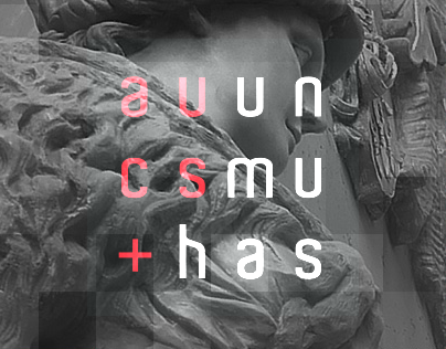 Actus Humanus 2013 Webdesign