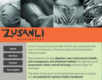 acupuncture website design