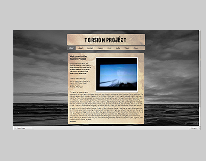 Torsion Project