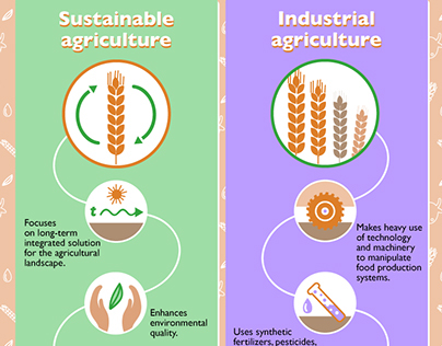 Infographics "Stronger Food System"