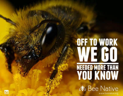 Bee Native non-profit