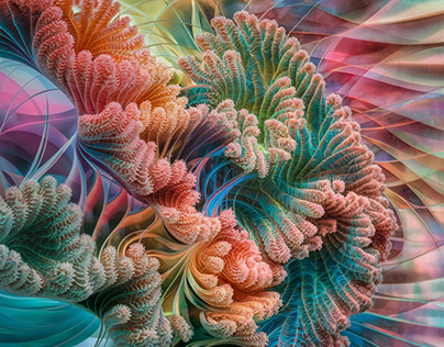 The Fractal Nature of Corals. Part III