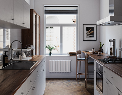 Modern Kitchen in apartment