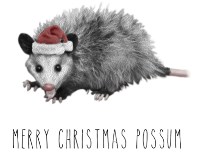 Christmas Possum