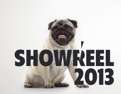 ShowReel 2013