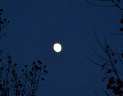 Full Moon Over Greenville, SC