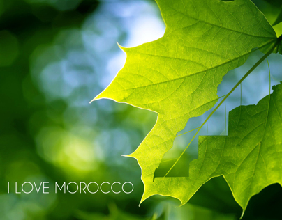 i love morocco
