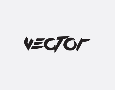 Vector 2013