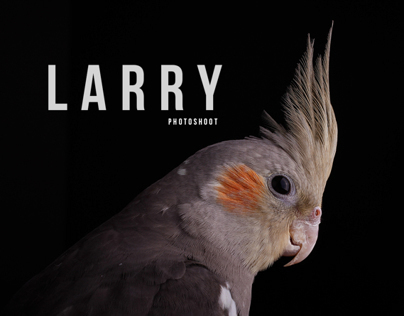 Larry Photoshoot