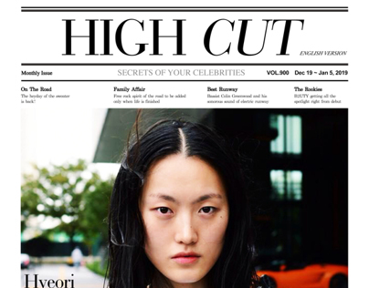 HIGH CUT MAGAZINE REMODELING