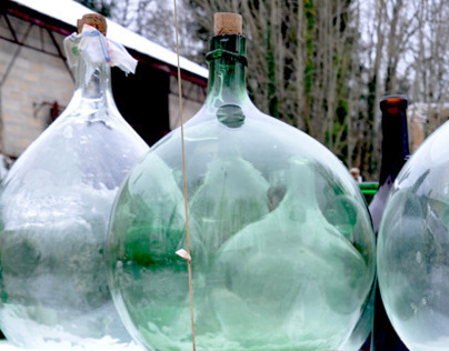 1001 Antique Bottles