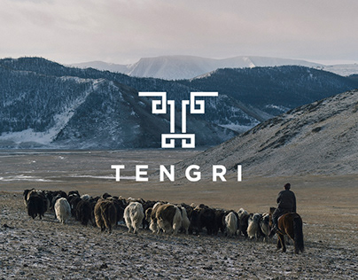 Tengri – Branding & website