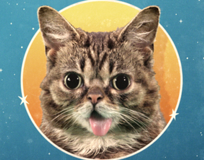 "Lil Bub's Big Show" Opening Animation