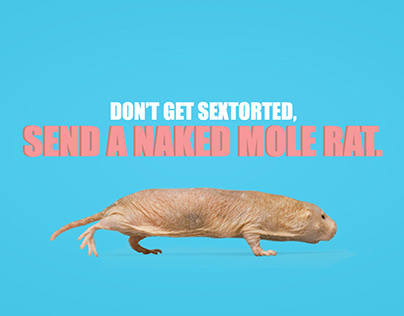 Don't Get Sextorted, Send a Naked Mole Rat