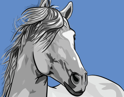 Pettit's Passion: horse study