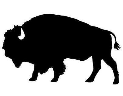 Icon Project: Day 6: Bison