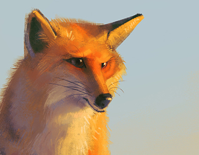 A Little Fox