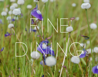 Fine Dining - Calendar 2014