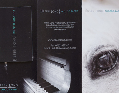 Eileen Long Logo and Print Promotion