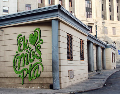 Cool Capital Moss Graffiti