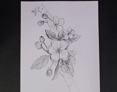 Pencil Sketching flowers - 2 Art videos for crejo.fun