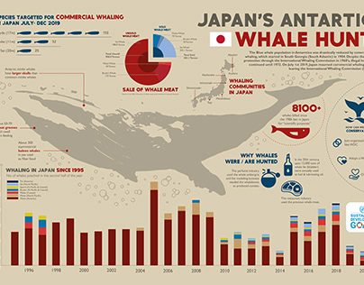 Data Visualization | Japan's Whale Hunt
