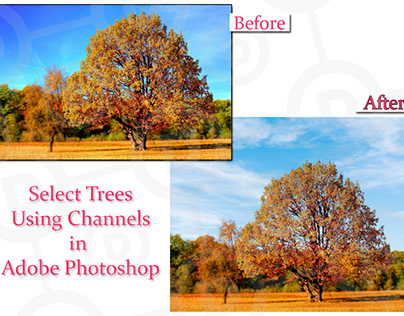 Select Trees Using Channels in Adobe Photoshop