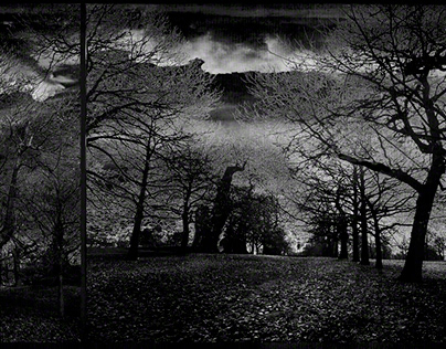 Greenwich Park in 4 black and white diptychs