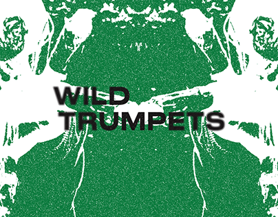 Wild Trumpets