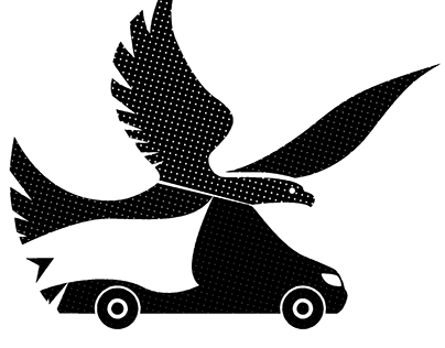 Soaring Bird Van(logo design)