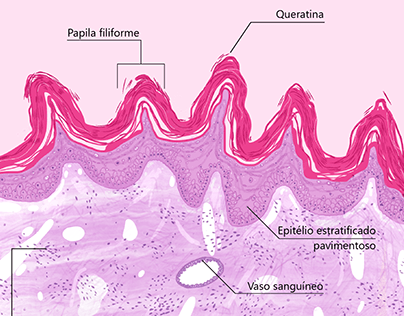 Scientific Illustration ~ turtle histology