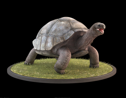 Giant Tortoise - 3D model