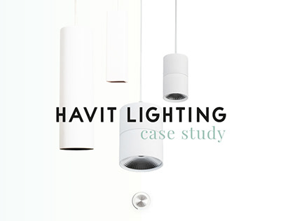 Havit Lighting Case Study