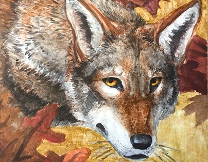 Red Wolf in Egg Tempera