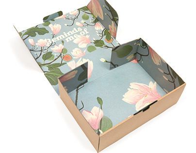 Cardboard Artwork Packaging Box Shipping