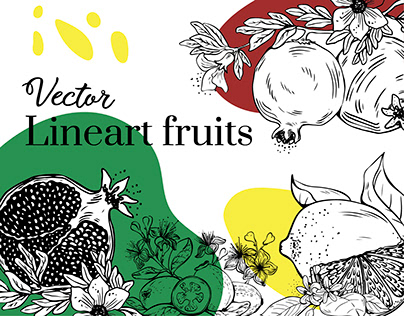 Lineart fruits. Illustration for product design